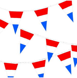 Slingers Nederlandse vlag  10 meter